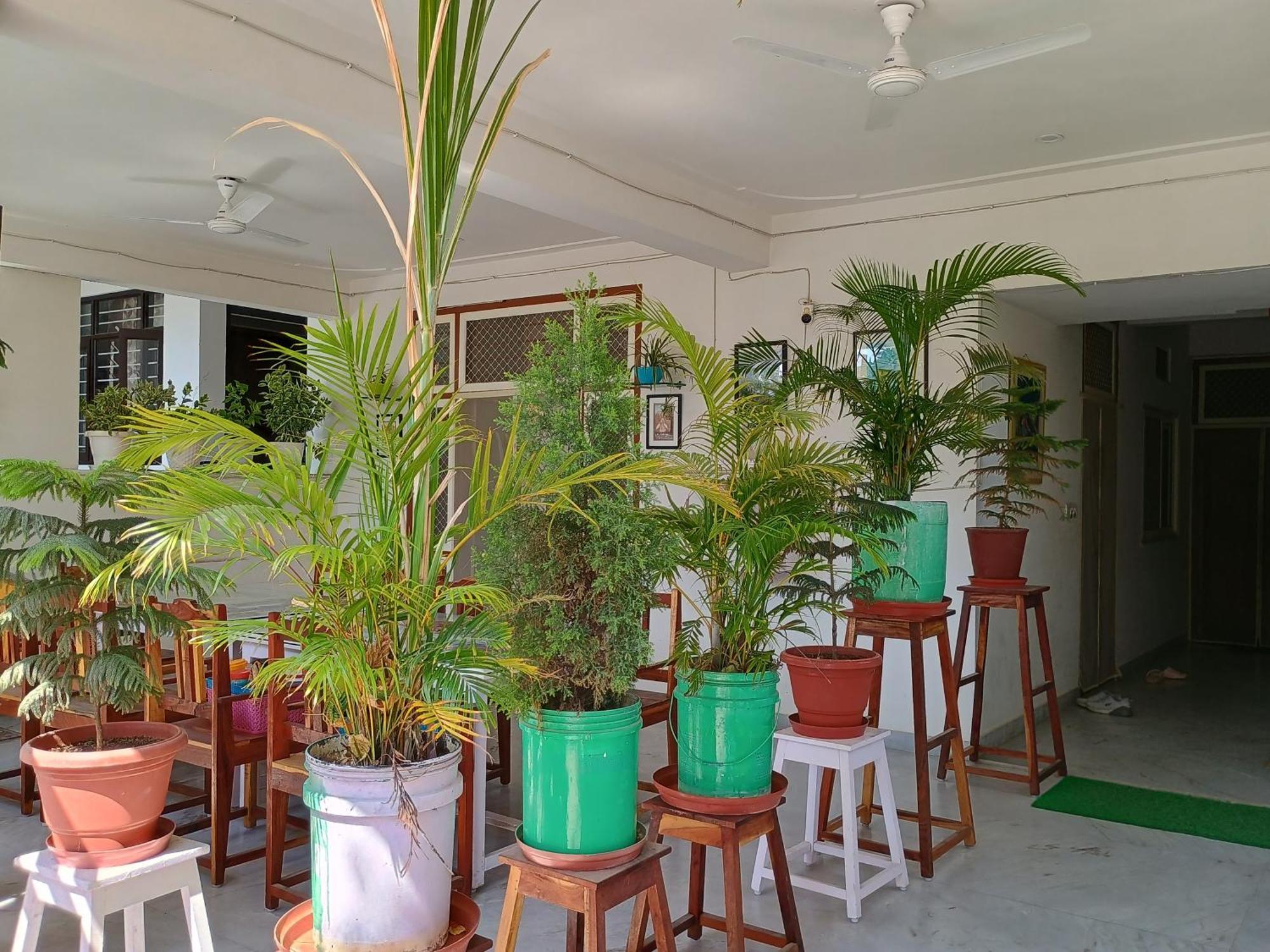 Choudhary White House Udaipur Apartment Екстериор снимка