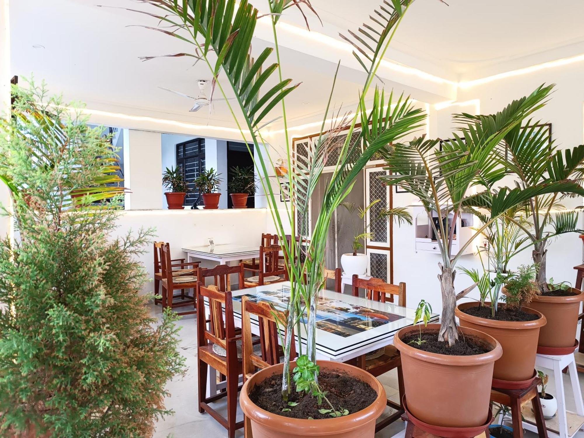 Choudhary White House Udaipur Apartment Екстериор снимка