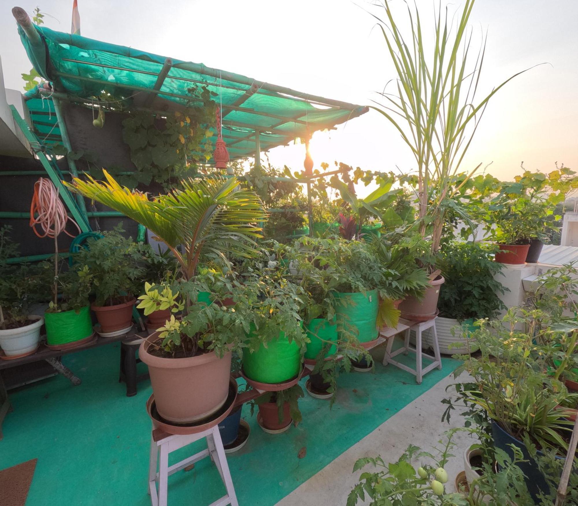 Choudhary White House Udaipur Apartment Екстериор снимка